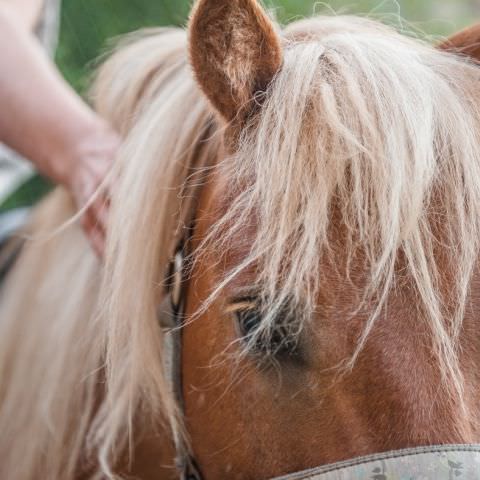 Nocturne de l'AMEM - WOELFLING - 21 juin 2019