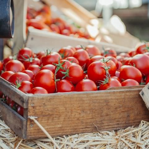 Marché Paysan - STURZELBRONN - 15 septembre 2019