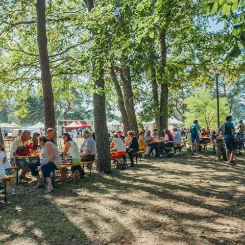 Marché Paysan - STURZELBRONN - 15 septembre 2019