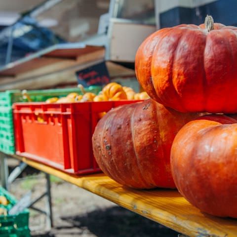 Marché Paysan - STURZELBRONN - 15 septembre 2019