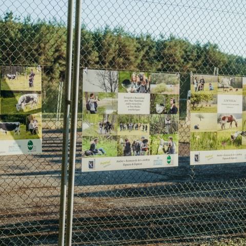 Marché Paysan - STURZELBRONN - 15 septembre 2019