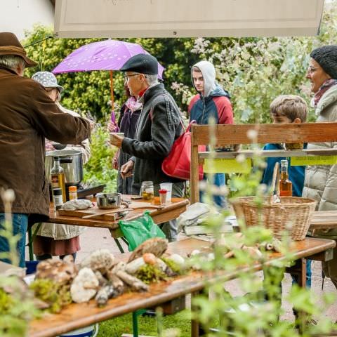 Marché Paysan - BITCHE - 06 octobre 2019