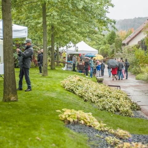 Marché Paysan - BITCHE - 06 octobre 2019