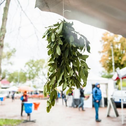 Marché Paysan - SARREGUEMINES - 20 octobre 2019