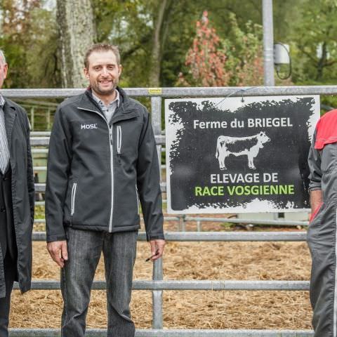 Marché Paysan - SARREGUEMINES - 20 octobre 2019