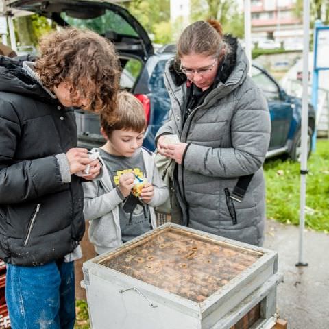 Marché Paysan - SARREGUEMINES - 20 octobre 2019