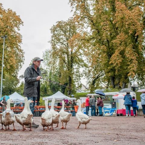 Marché Paysan - SARREGUEMINES - 20 octobre 2019