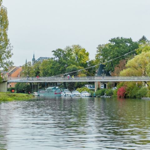 Marché Paysan - SARREGUEMINES - 20 octobre 2019