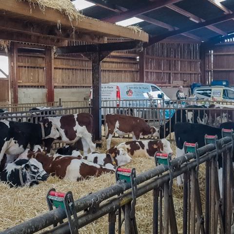 De Ferme En Ferme - 29 septembre 2019