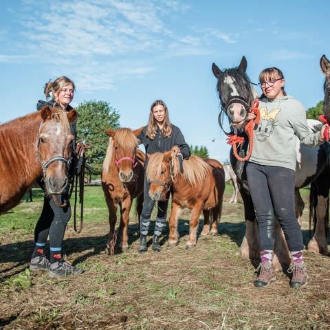 De Ferme En Ferme - 29 septembre 2019