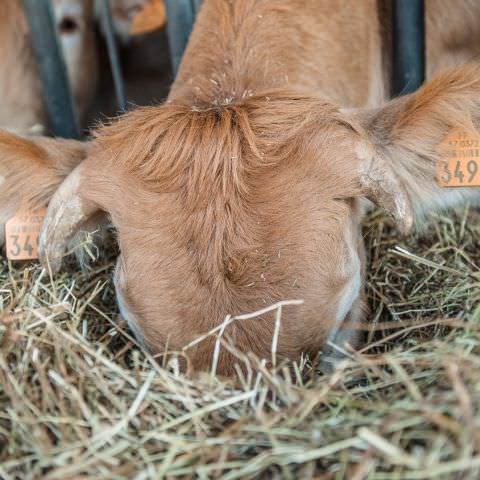 De Ferme En Ferme - 29 septembre 2019