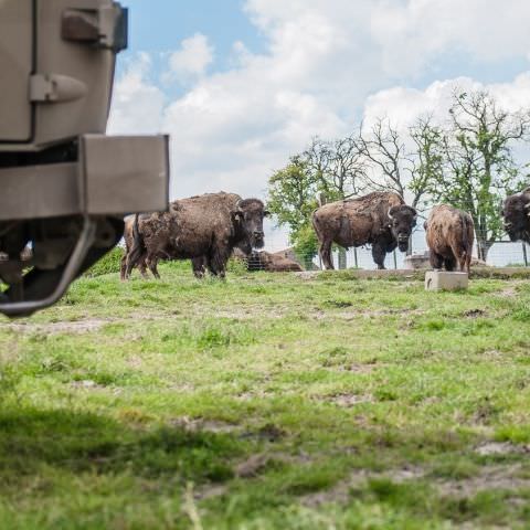 De Ferme En Ferme - 29 septembre 2019