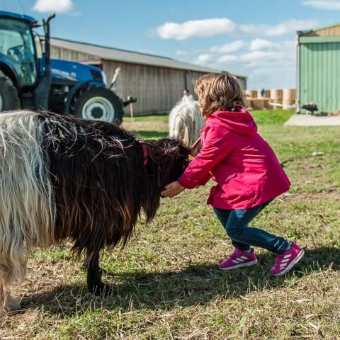 De Ferme En Ferme - 29 septembre 2019