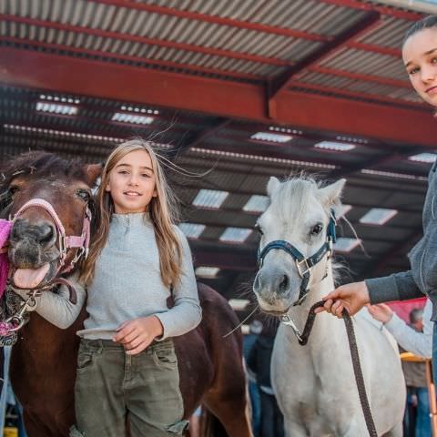 De Ferme En Ferme - 29 septembre 2019