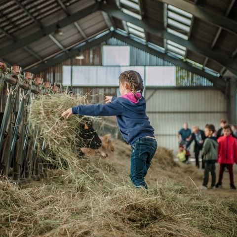 De Ferme En Ferme - 29 septembre 2019