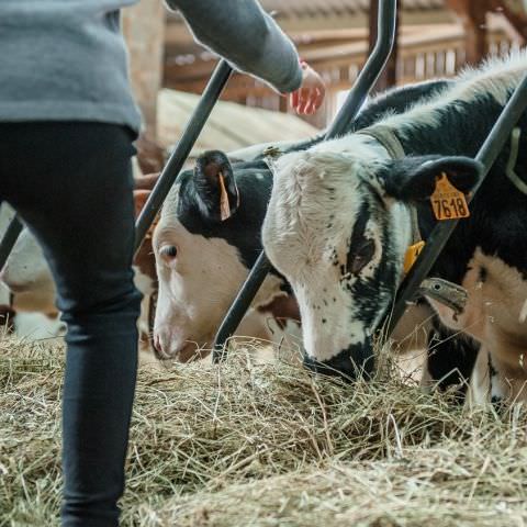 De Ferme En Ferme - 29 septembre 2019