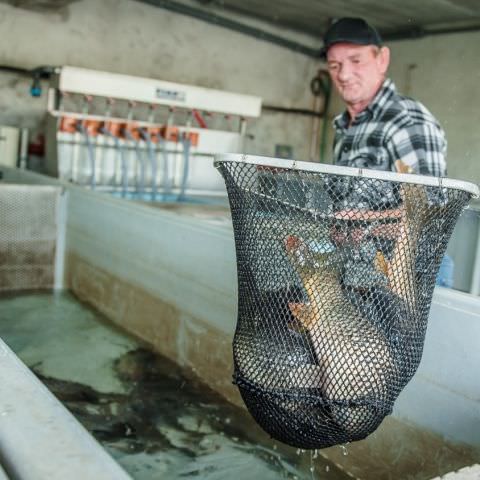 De Ferme En Ferme - 29 septembre 2019