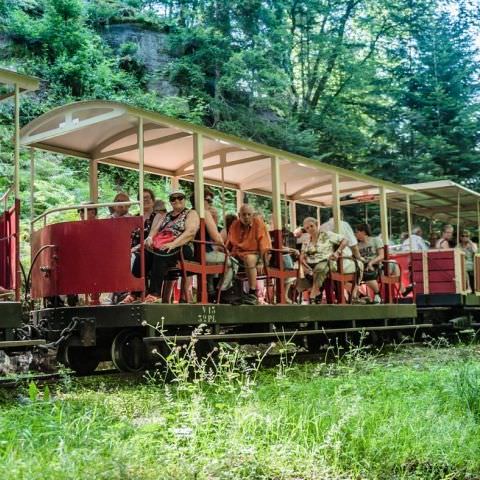 Marché Paysan Nocturne - ABRESCHVILLER - 20 juillet 2016