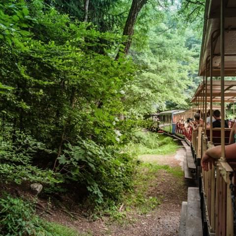 Marché Paysan Nocturne - ABRESCHVILLER - 20 juillet 2016