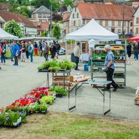 Marché Paysan - GOETZENBRUCK - 07 juin 2020