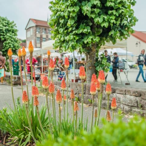 Marché Paysan - GOETZENBRUCK - 07 juin 2020
