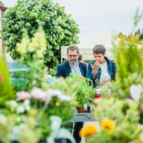 Marché Paysan - GOETZENBRUCK - 07 juin 2020