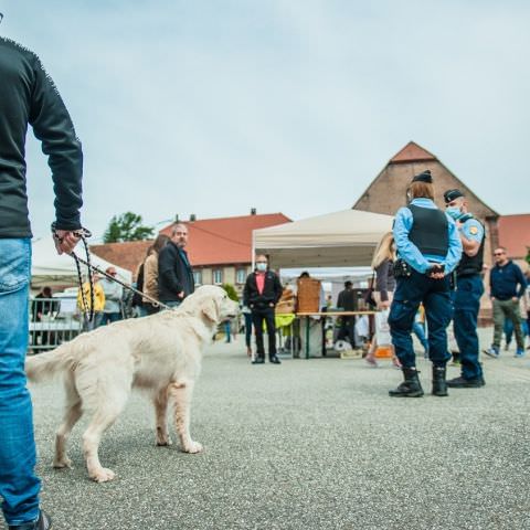 Marché Paysan - GOETZENBRUCK - 07 juin 2020