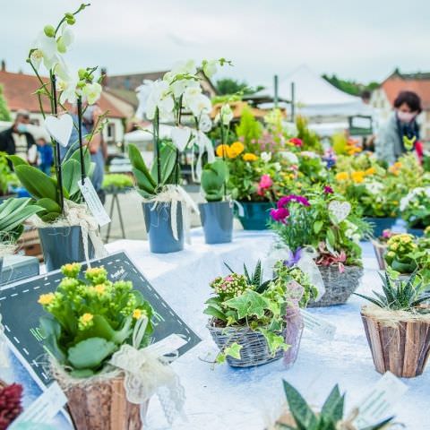 Marché Paysan - GOETZENBRUCK - 07 juin 2020