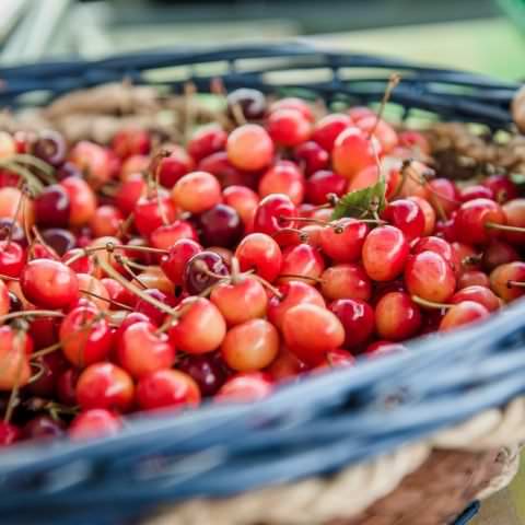 Marché Paysan - WOELFLING - 21 juin 2020