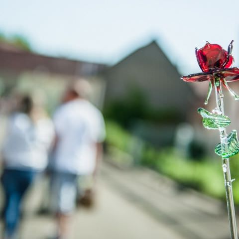 Marché Paysan - WOELFLING - 21 juin 2020