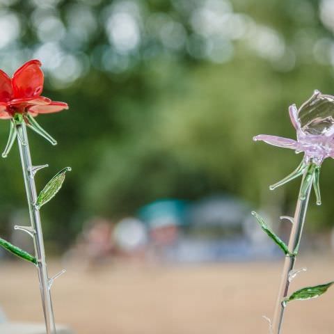 Marché Nocturne - BAERENTHAL - 13 juillet 2020