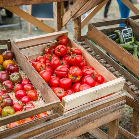 Marché Paysan - STURZELBRONN - 29 août 2020