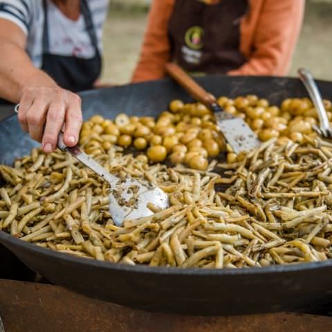 Marché Paysan - STURZELBRONN - 29 août 2020