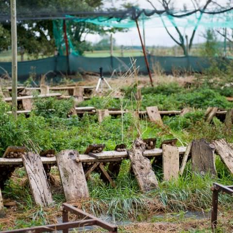 De Ferme En Ferme - 27 septembre 2020