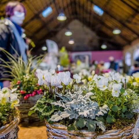 Marché Paysan - BITCHE - 04 octobre 2020