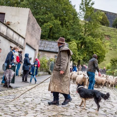 Marché Paysan - BITCHE - 04 octobre 2020