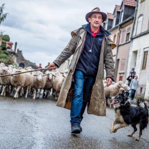 Marché Paysan - BITCHE - 04 octobre 2020