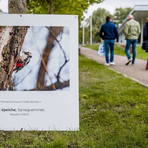 Marché des Producteurs et Artisans / Fête de la Nature / 11 octobre 2020