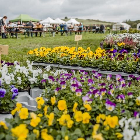 Marché des Producteurs et Artisans / Fête de la Nature / 11 octobre 2020