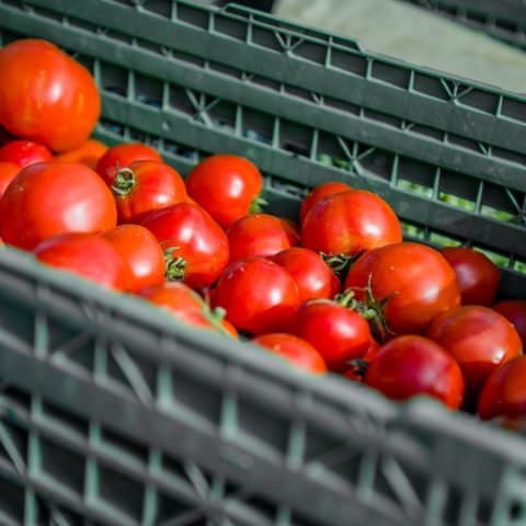 Marché des Producteurs et Artisans / Fête de la Nature / 11 octobre 2020