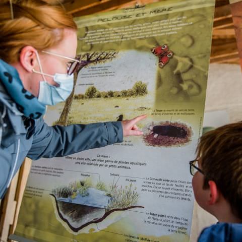 Marché des Producteurs et Artisans / Fête de la Nature / 11 octobre 2020