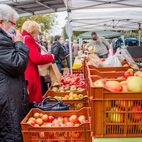 Marché Paysan - SARREGUEMINES - 18 octobre 2020