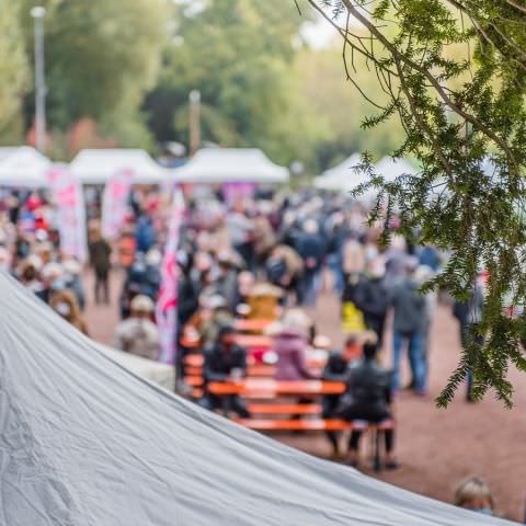 Marché Paysan - SARREGUEMINES - 18 octobre 2020