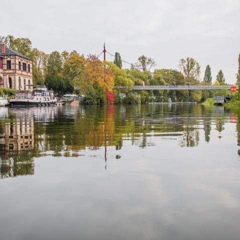 Marché Paysan - SARREGUEMINES - 18 octobre 2020