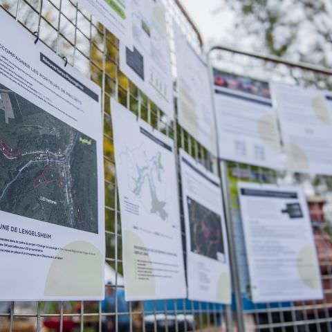 Marché Paysan - SARREGUEMINES - 18 octobre 2020