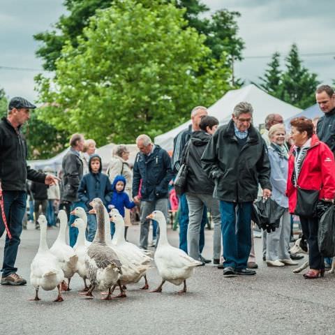 Marché Paysan Nocturne - HÉMING - 10 août 2016