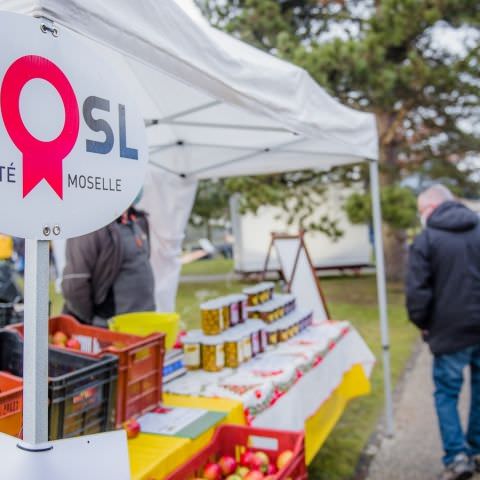 Marché Paysan - MONTBRONN - 20 décembre 2020