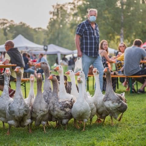 Marché Nocturne - BAERENTHAL - 17 juillet 2021