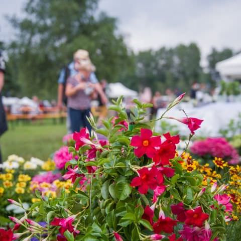 Marché Nocturne - BAERENTHAL - 17 juillet 2021