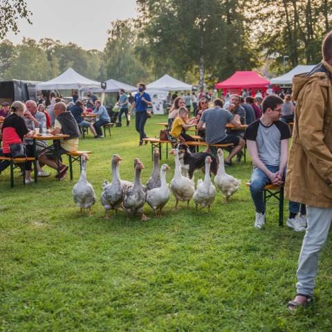 Marché Nocturne - BAERENTHAL - 17 juillet 2021